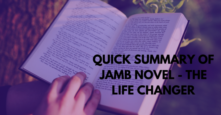 QUICK SUMMARY OF JAMB NOVEL 2024- THE LIFE CHANGER