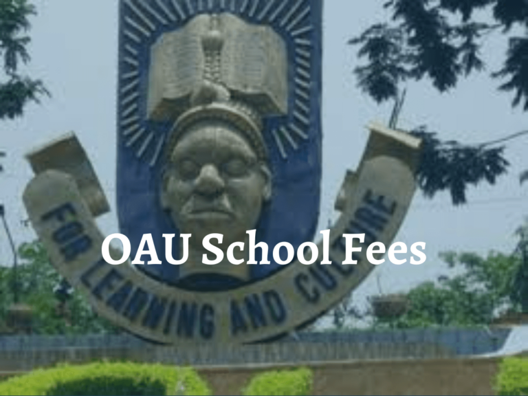 OAU School Fees 2024
