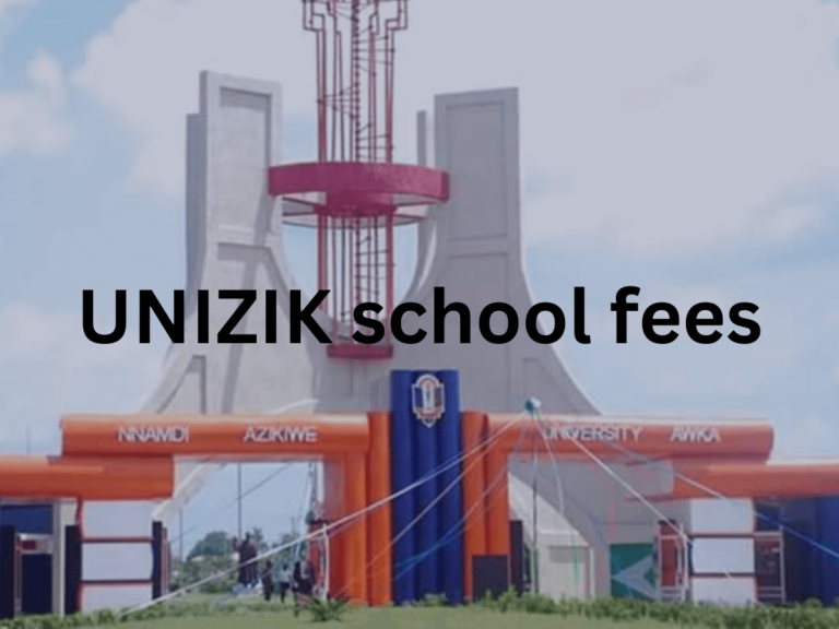 Unizik School fees 2024